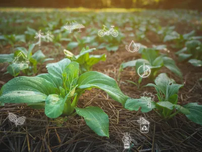 Schréder is researching and using biopolymers in its street lights to make them greener